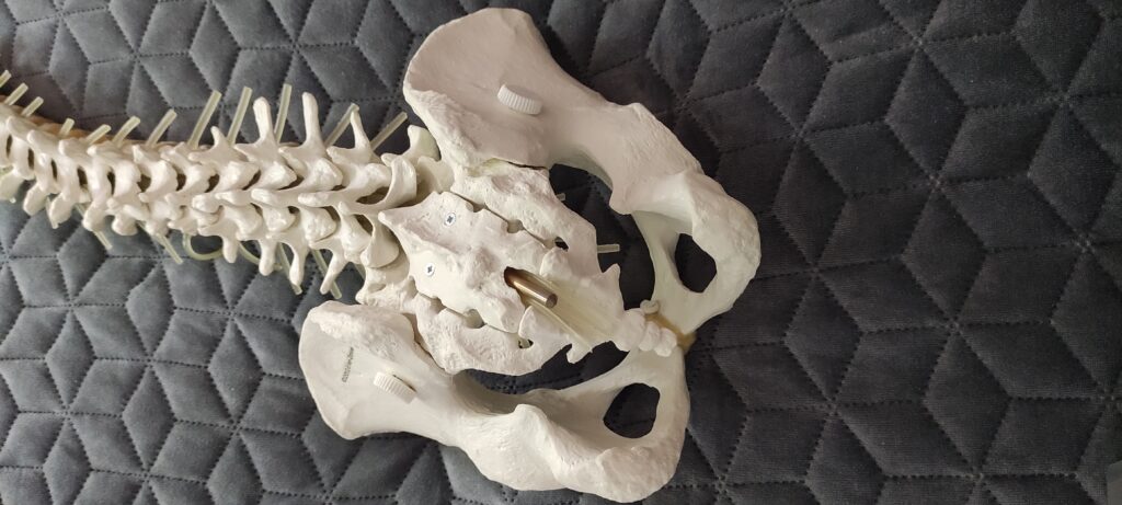 fizjoterapeuta osteopata