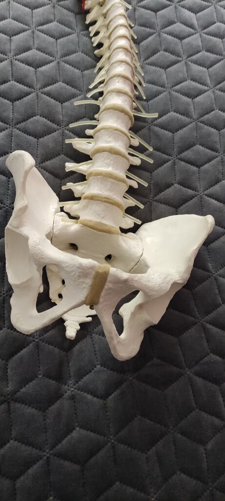 fizjoterapeuta terapia manualna rehabilitacja piaseczno